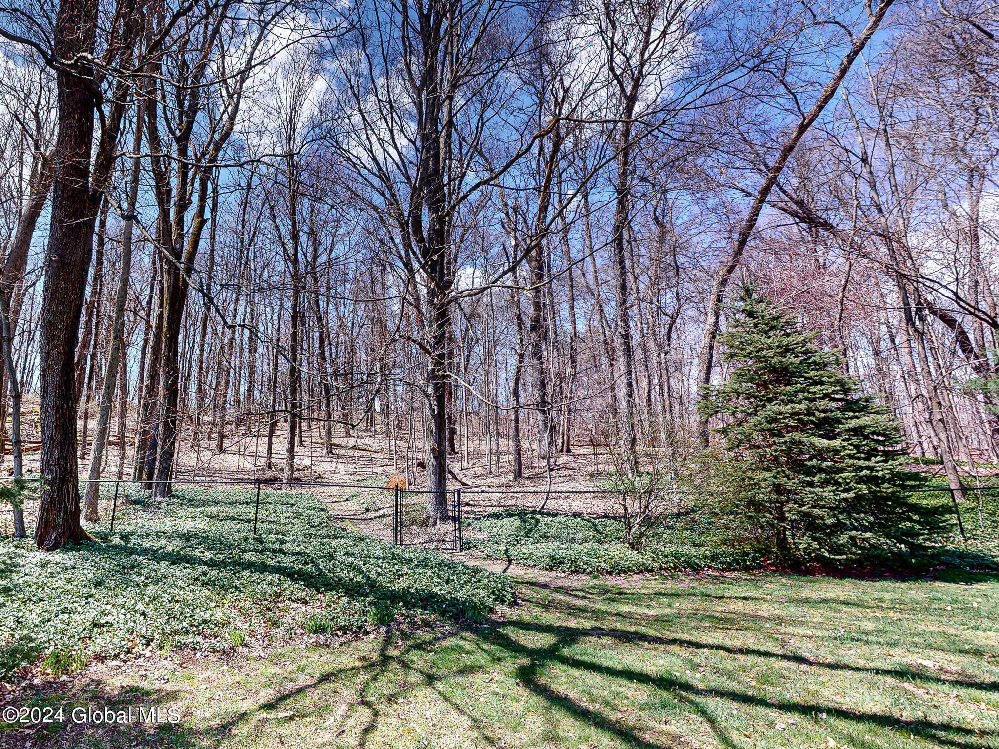 28 Denison Road