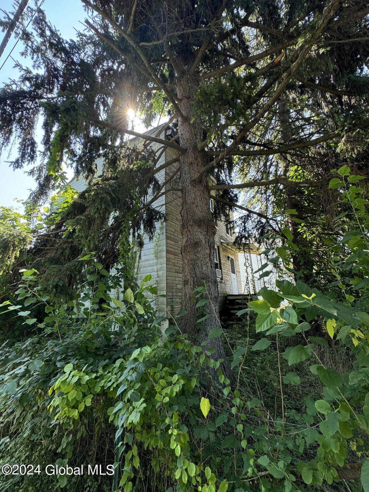 20 Hopkins Street