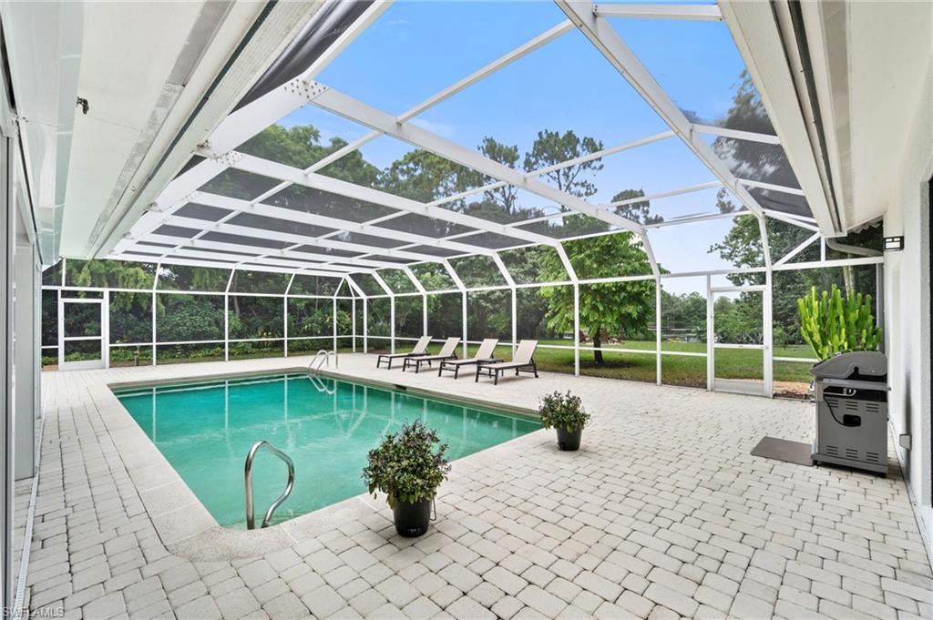 241 Carica RD