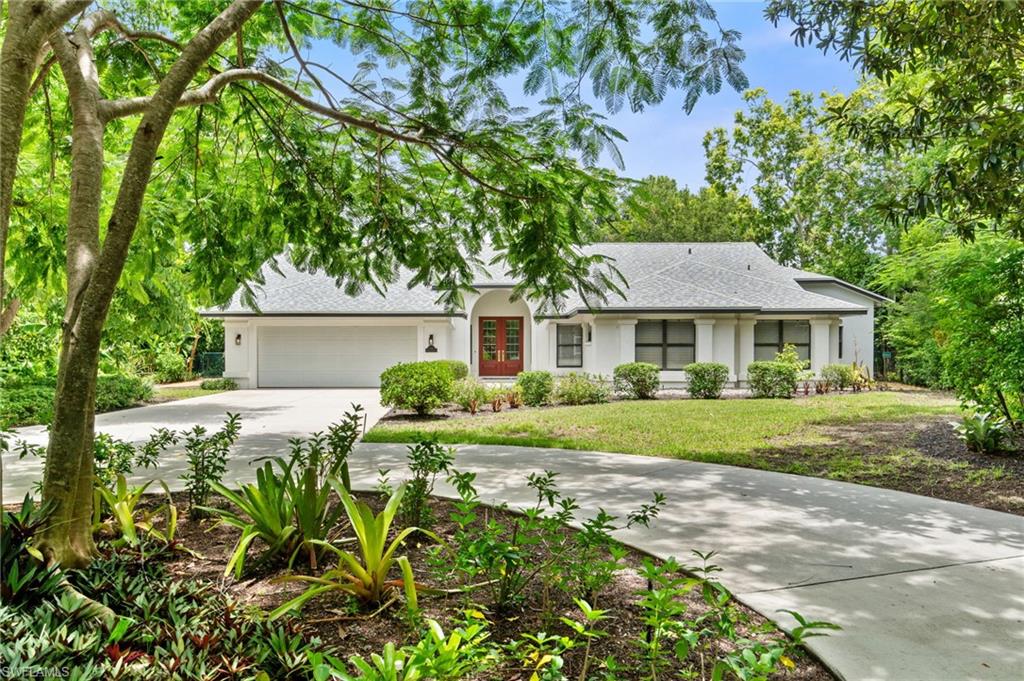 241 Carica RD