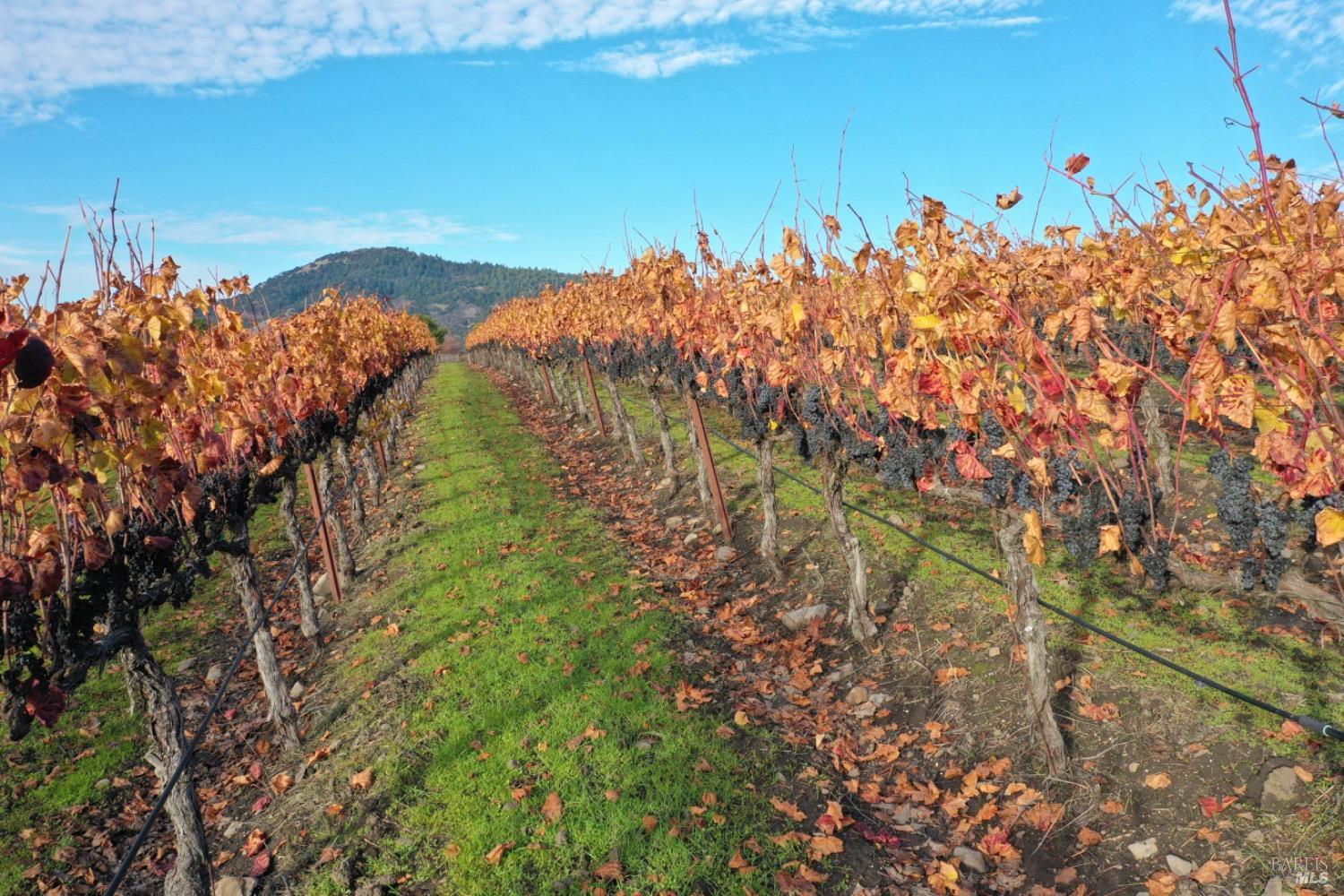 4520 Sonoma Mountain Rd