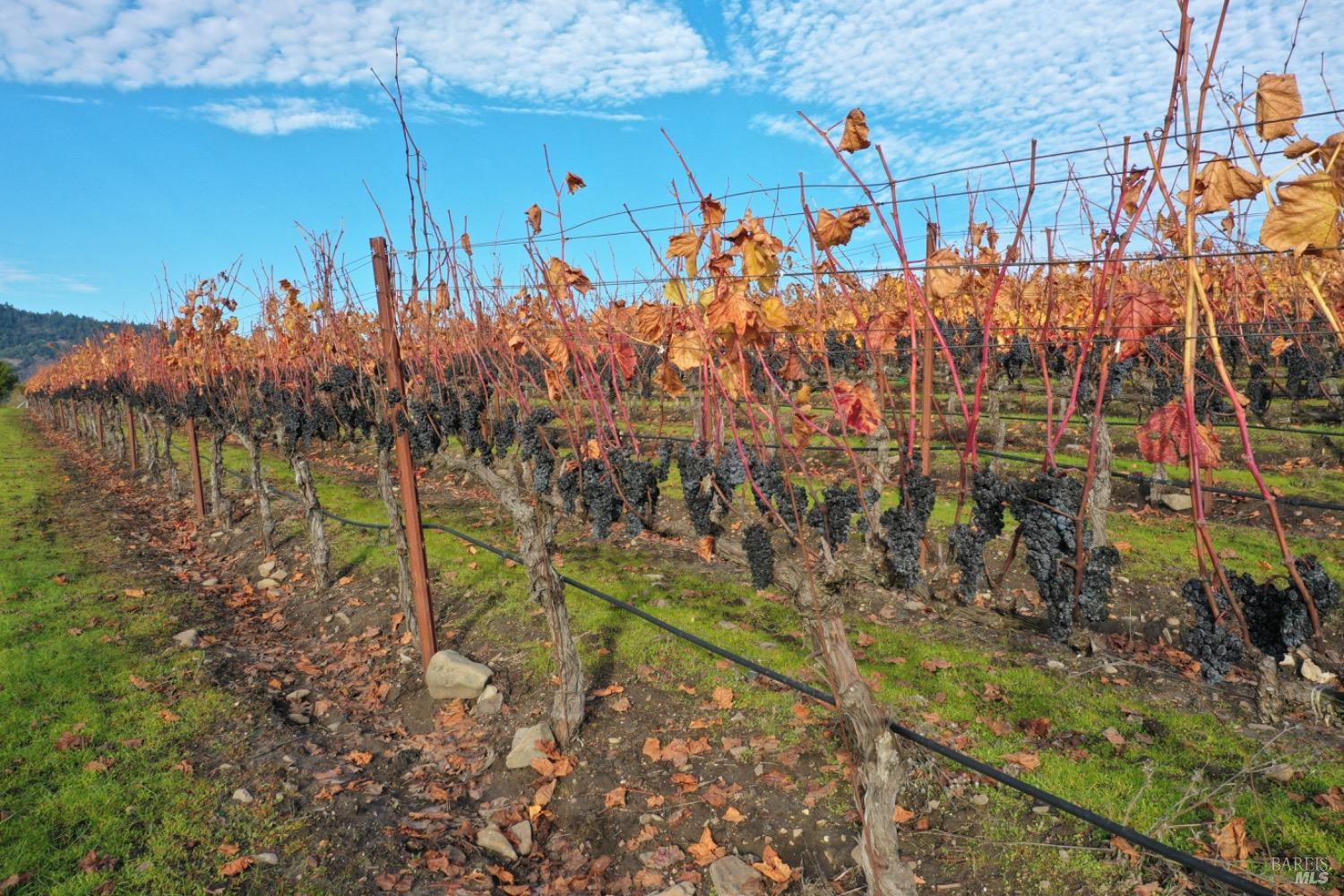 4520 Sonoma Mountain Rd