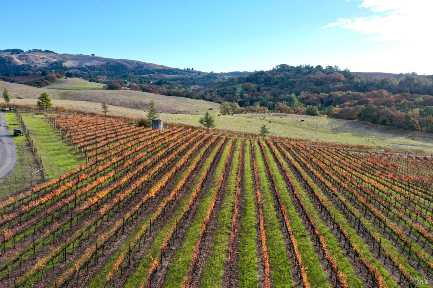 4520 Sonoma Mountain Rd