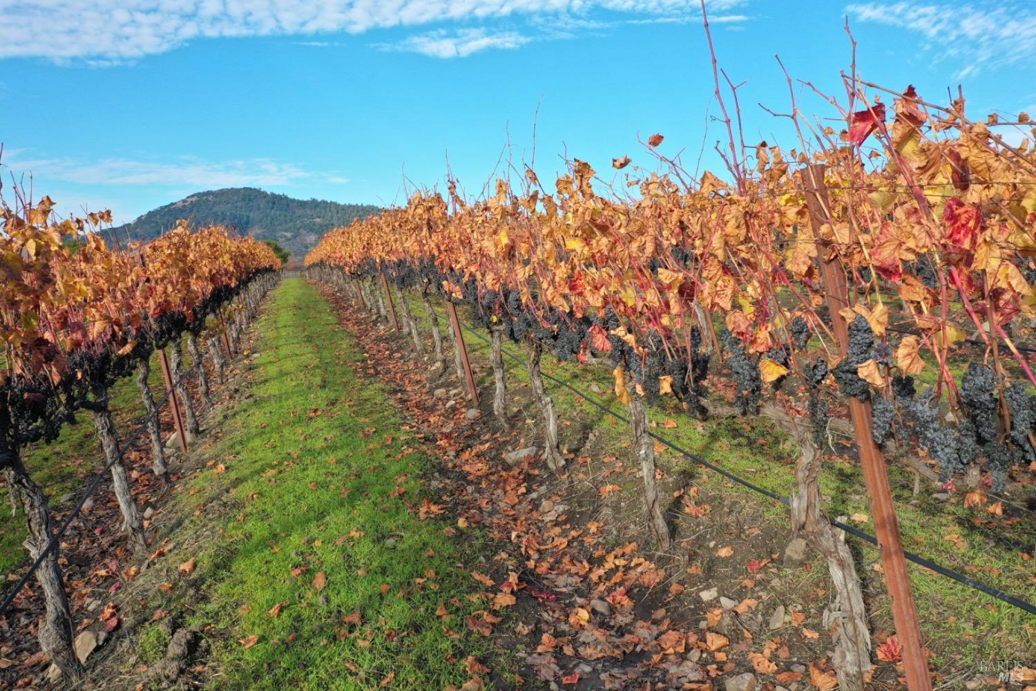 4520 Sonoma Mountain Rd