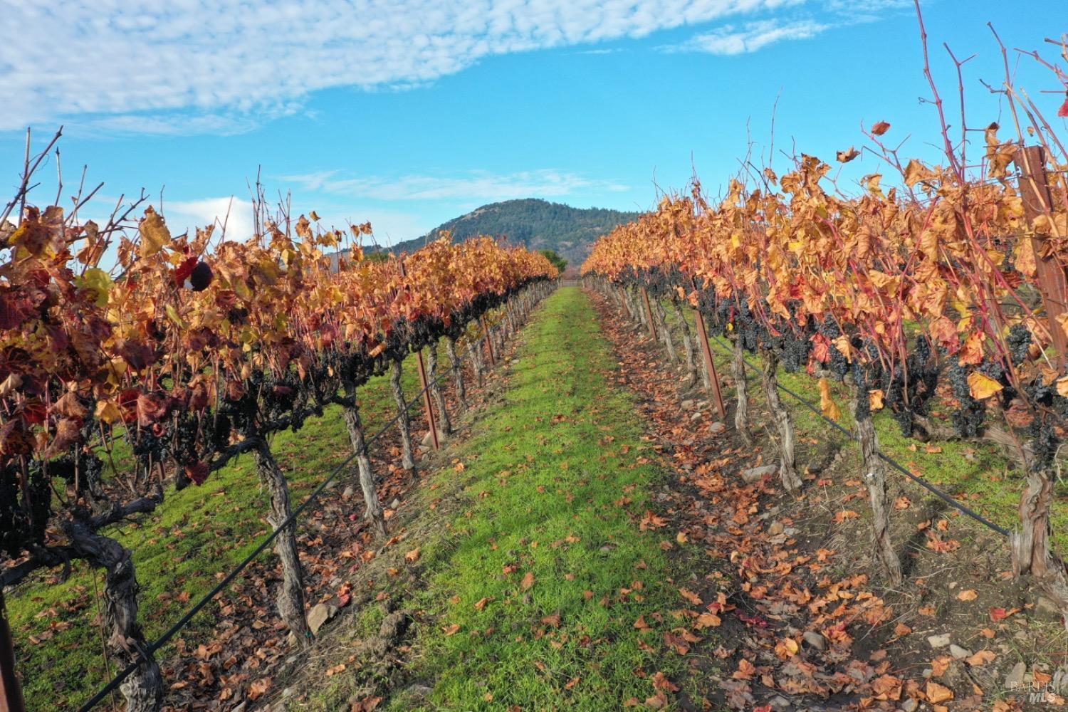 4520 Sonoma Mountain Rd