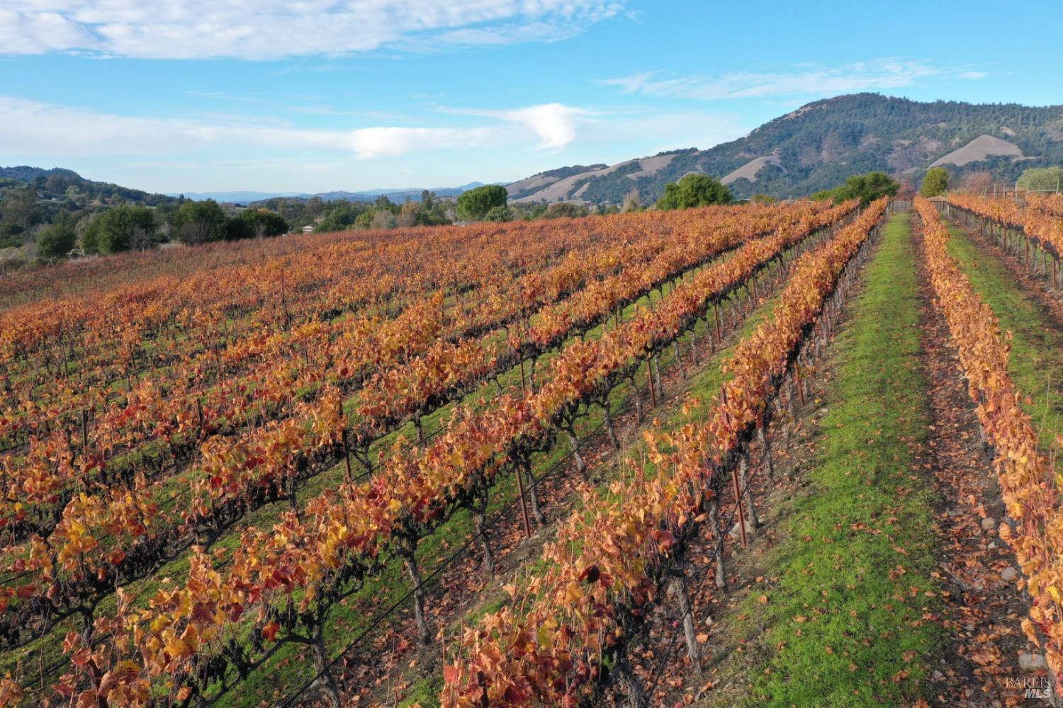 4520 Sonoma Mountain Rd