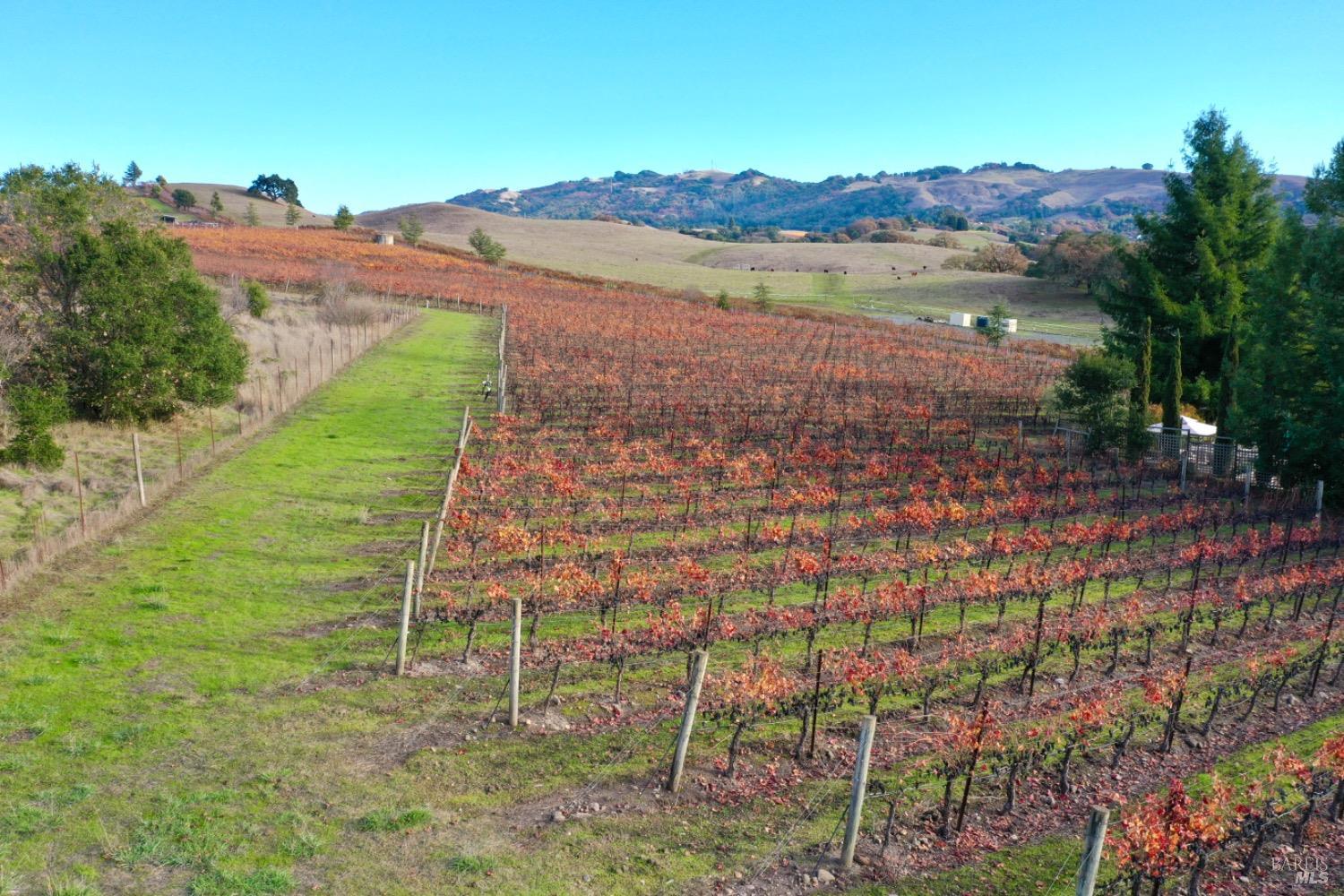 4520 Sonoma Mountain Rd