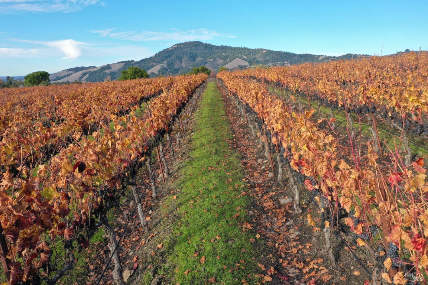 4520 Sonoma Mountain Rd