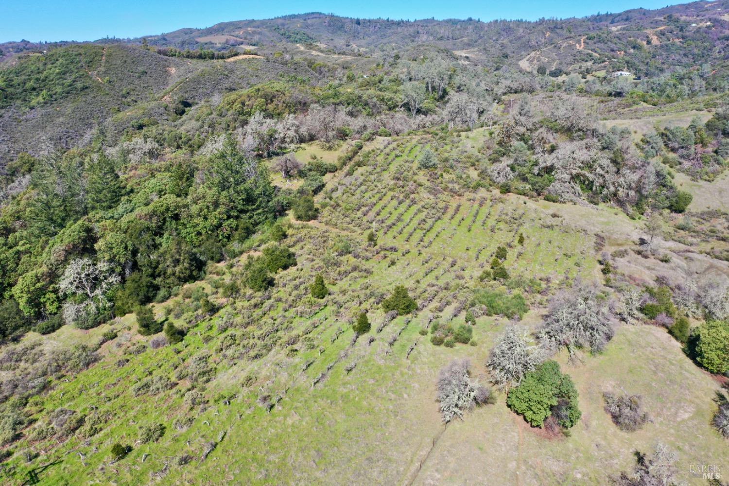 32400 Pine Mountain Rd