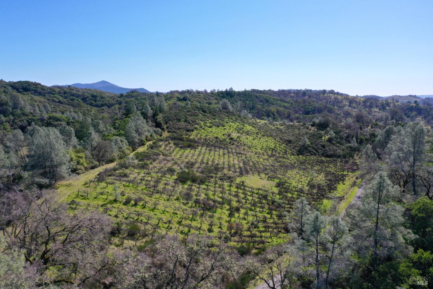 32400 Pine Mountain Rd