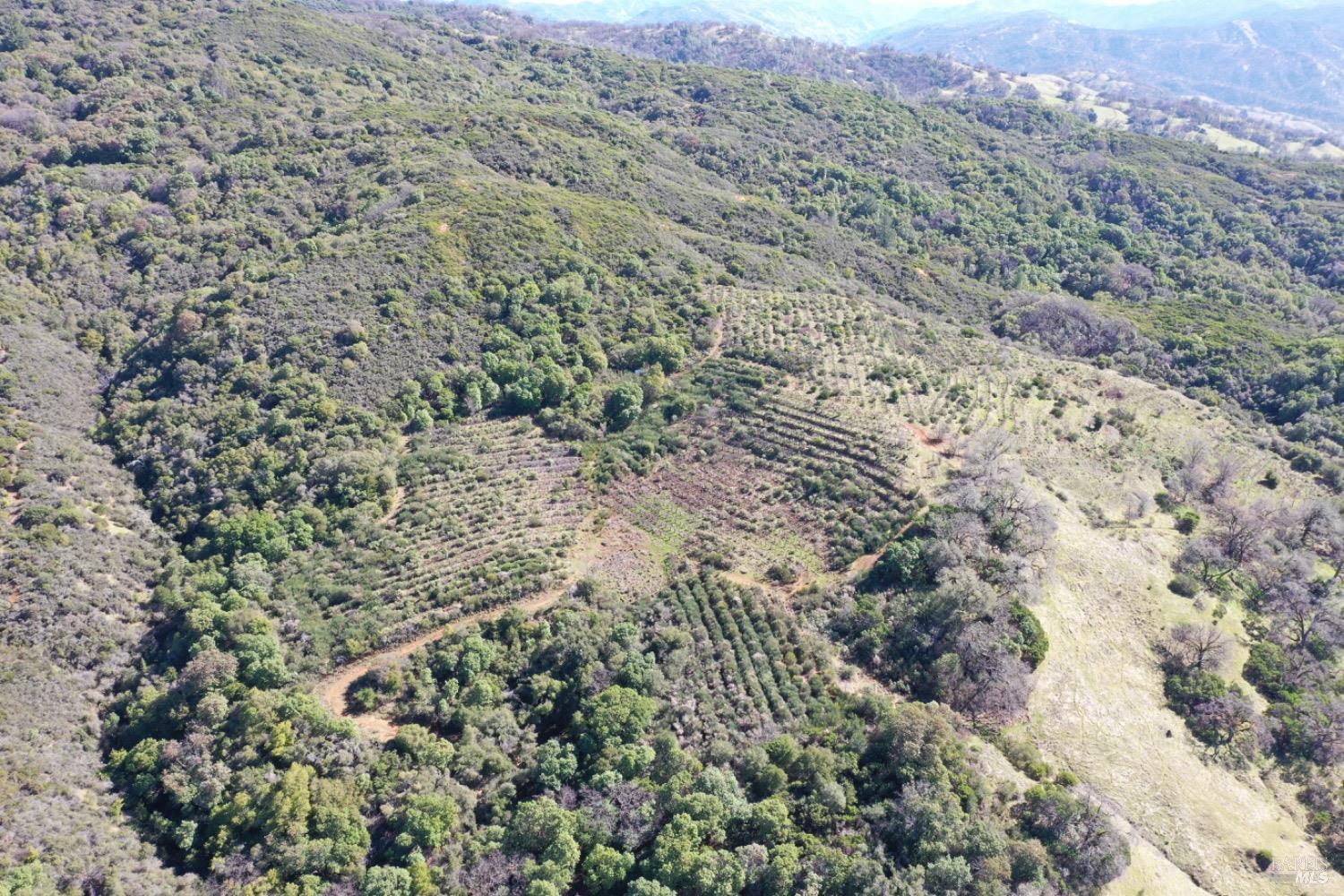 32400 Pine Mountain Rd