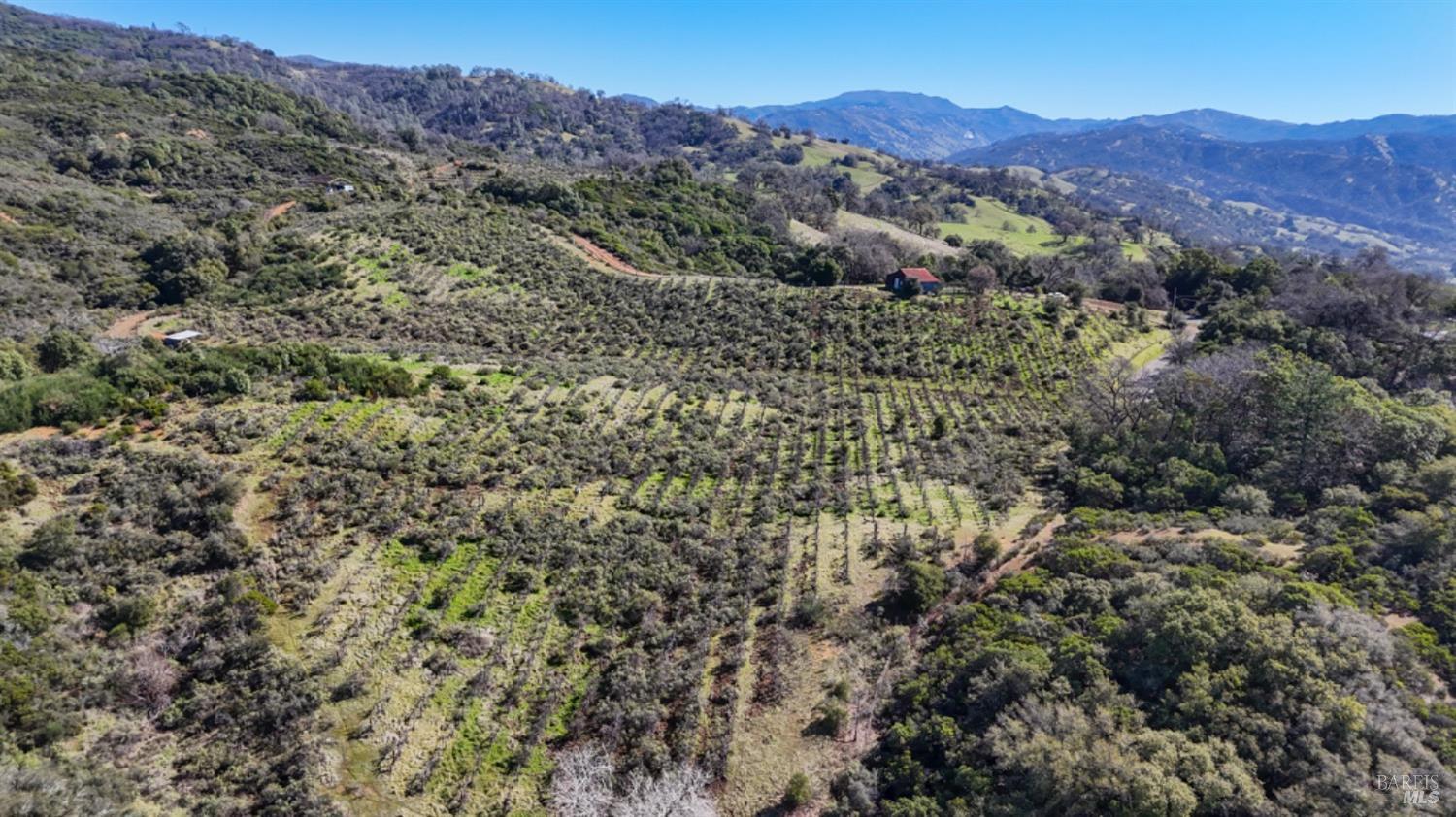 32400 Pine Mountain Rd