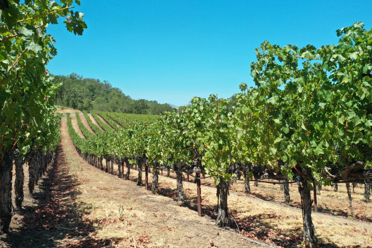 1201 Rogers School Ln