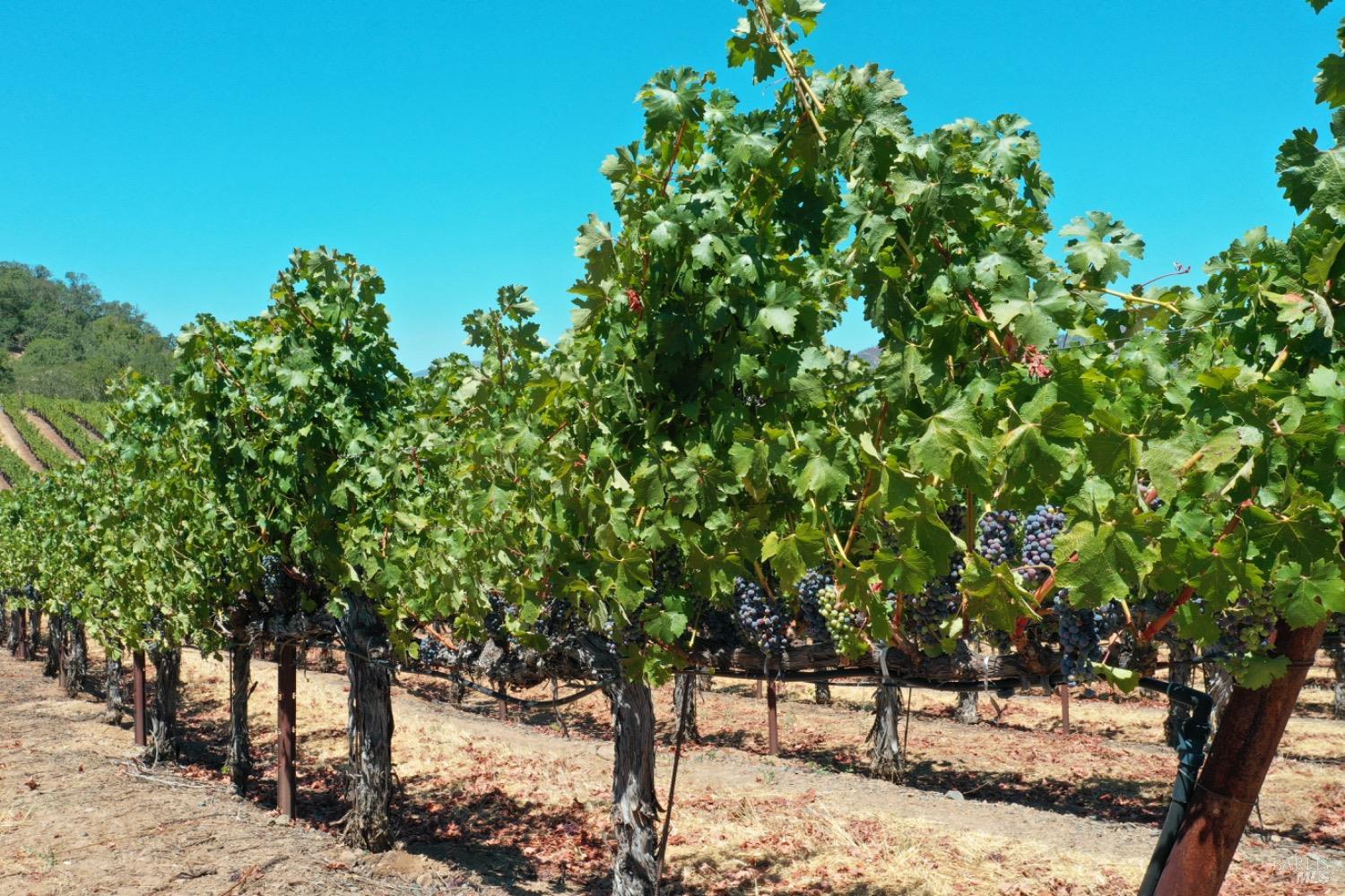 1201 Rogers School Ln