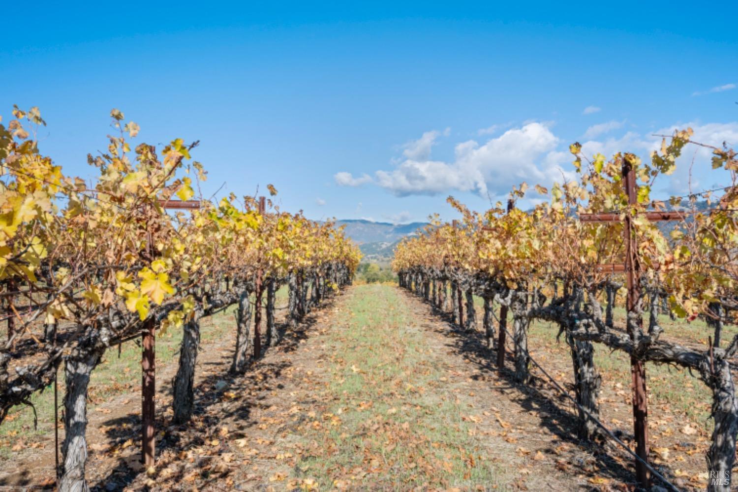 1201 Rogers School Ln