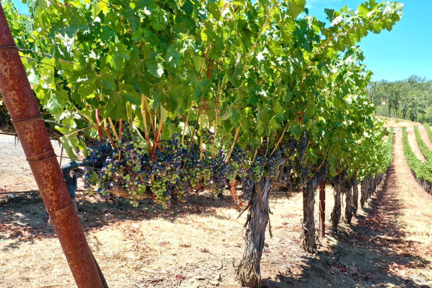 1201 Rogers School Ln