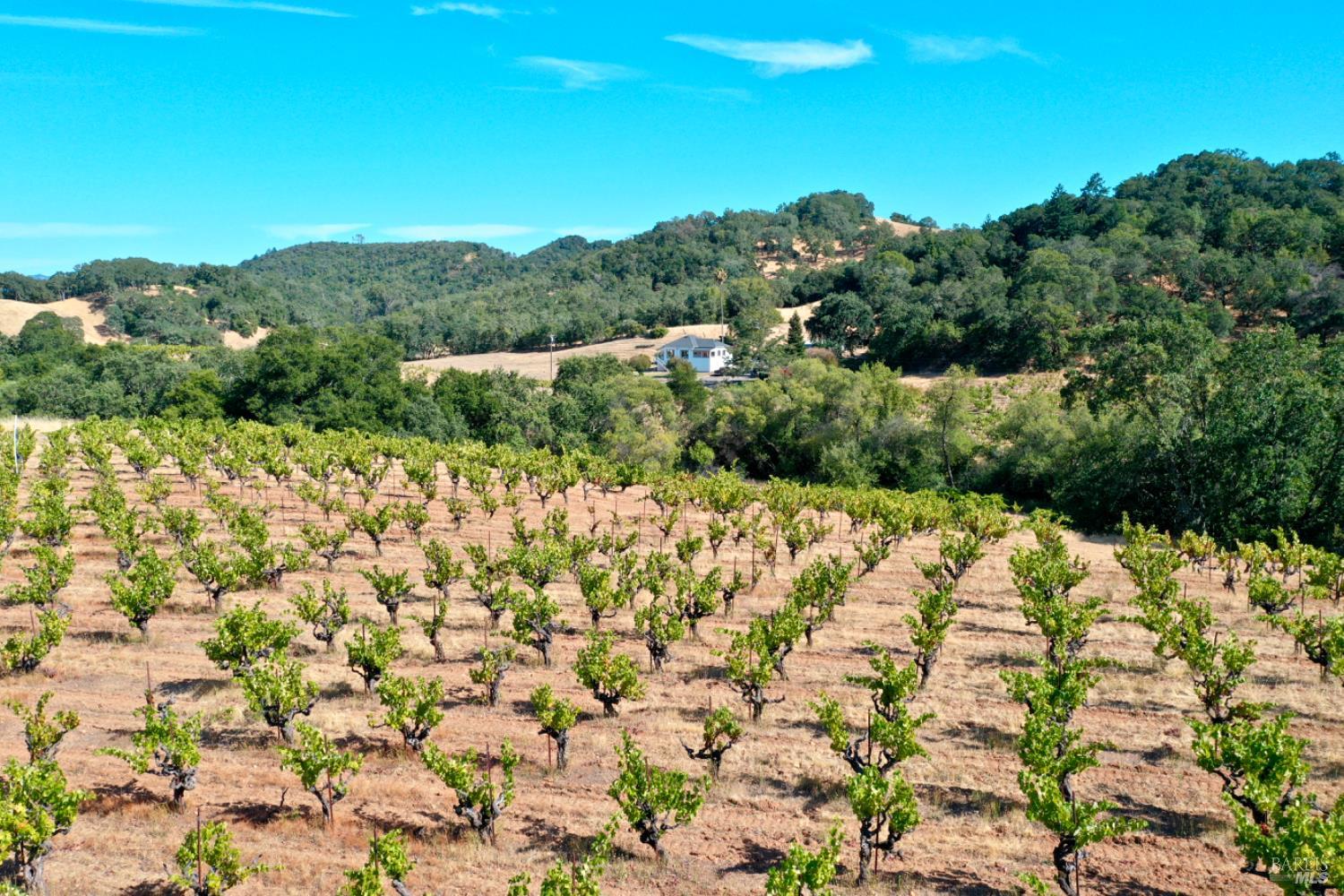 25845 Dutcher Creek Rd