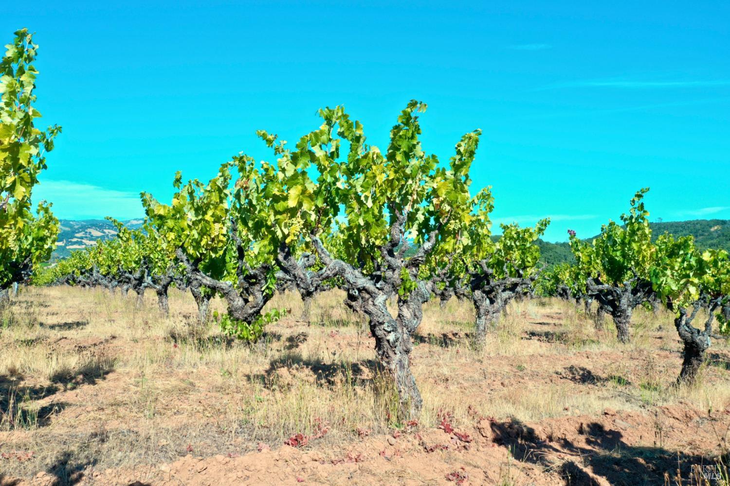 25845 Dutcher Creek Rd