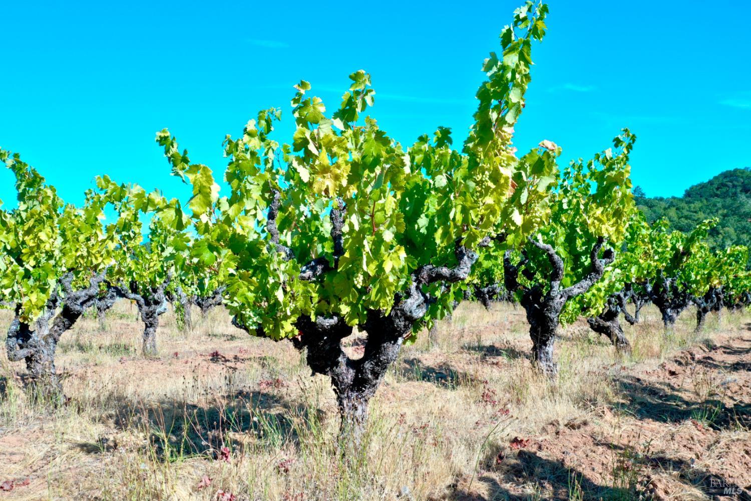 25845 Dutcher Creek Rd