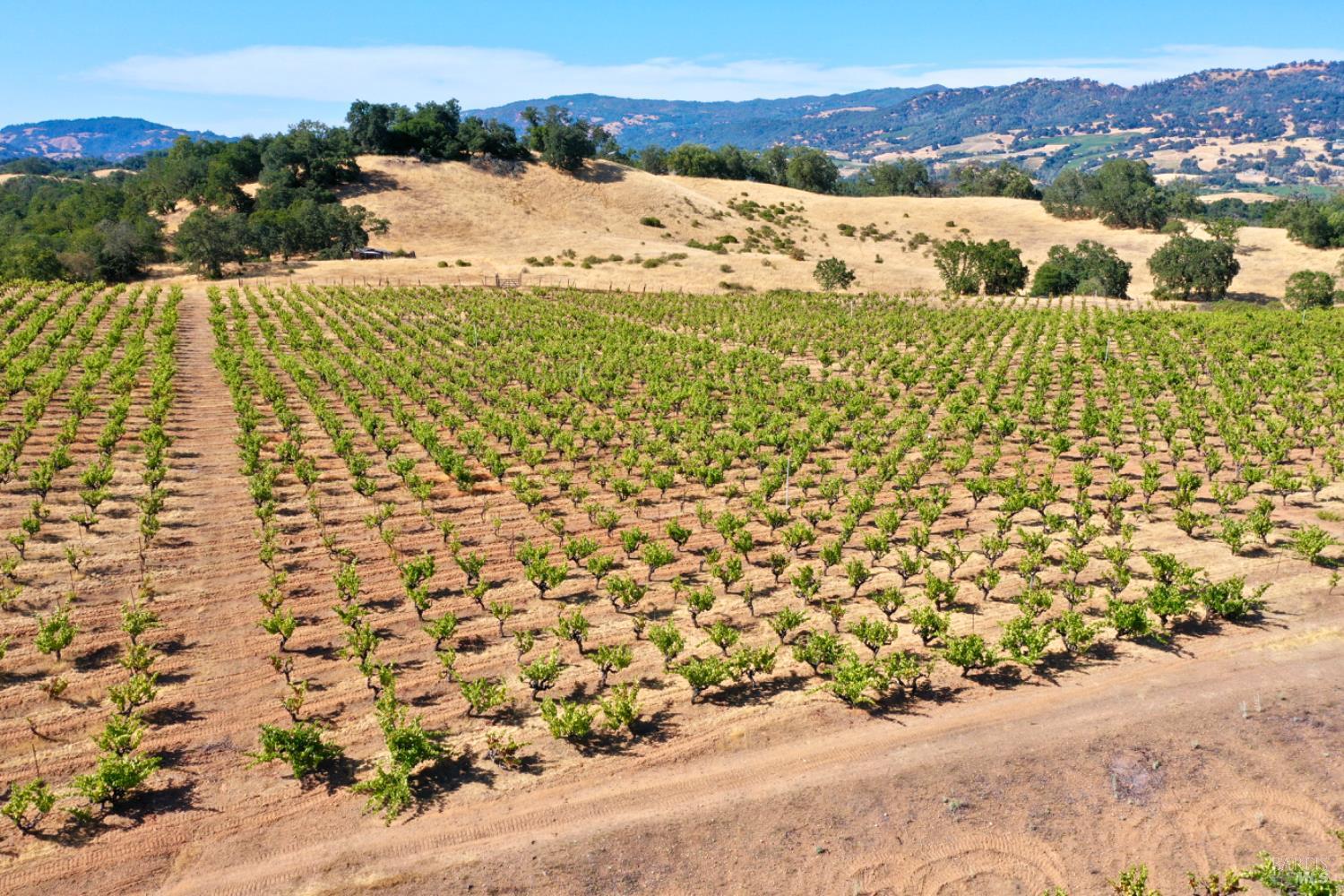 25845 Dutcher Creek Rd