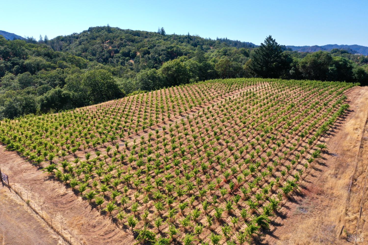 25845 Dutcher Creek Rd