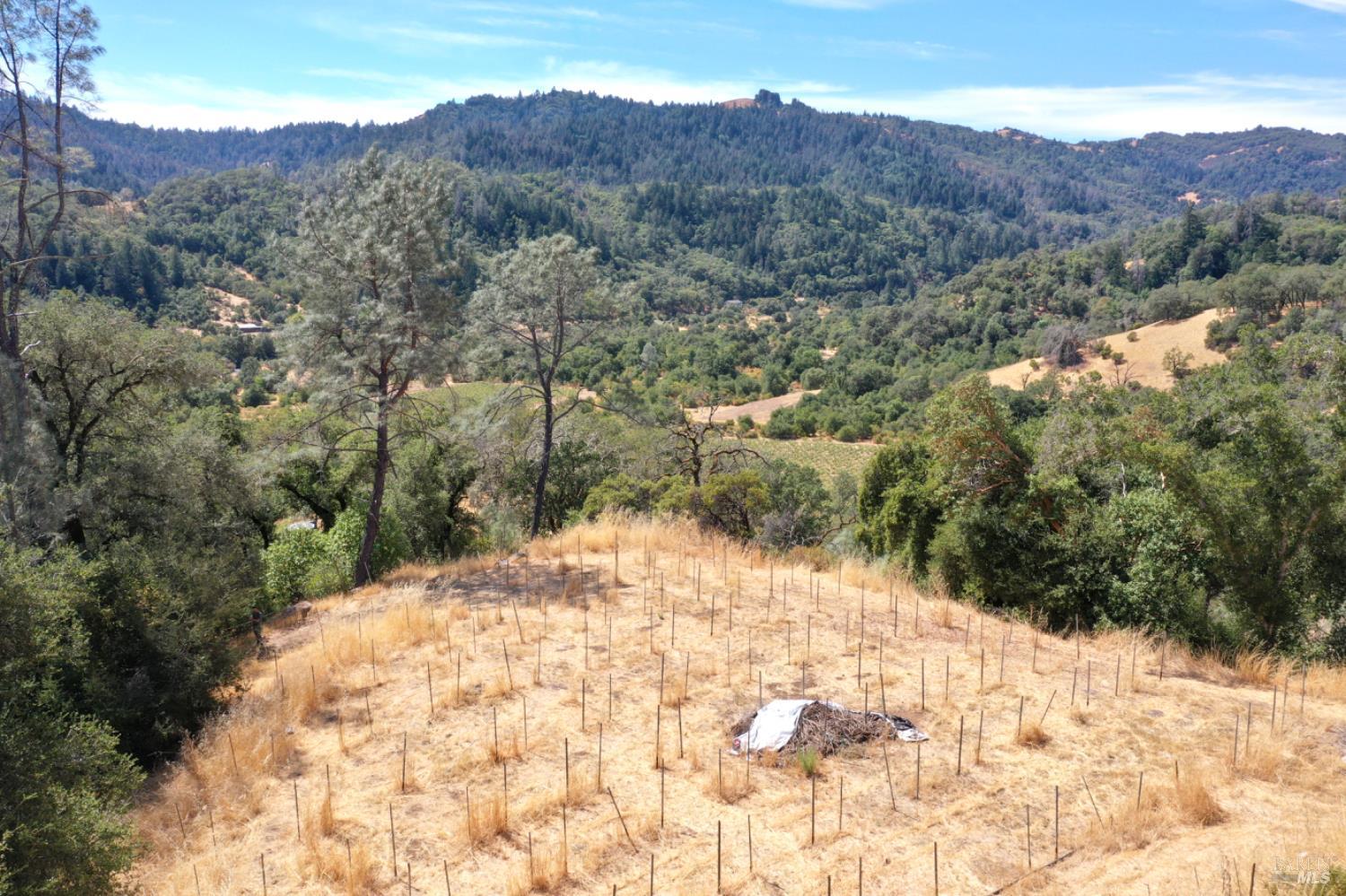 31258 Highway 128 Rd