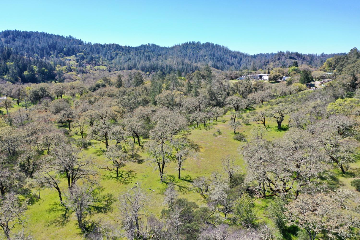 5175 Petrified Forest Rd