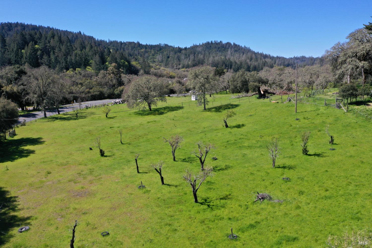5175 Petrified Forest Rd