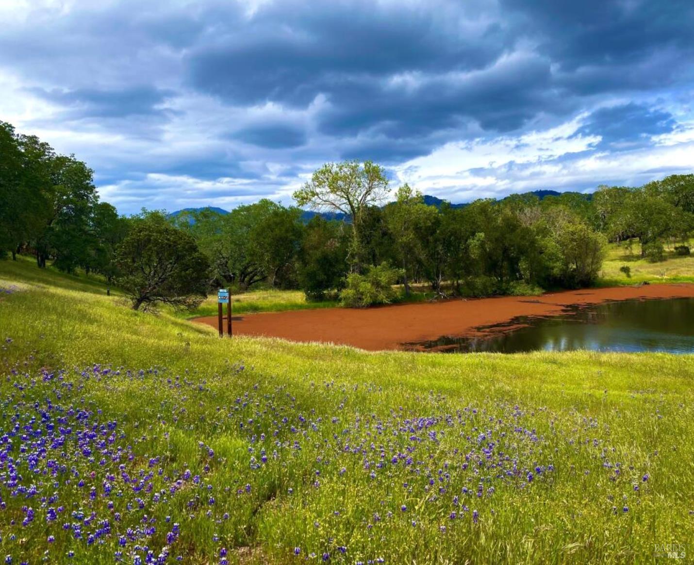 5175 Petrified Forest Rd