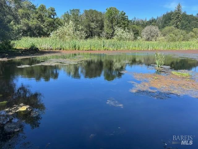 5175 Petrified Forest Rd