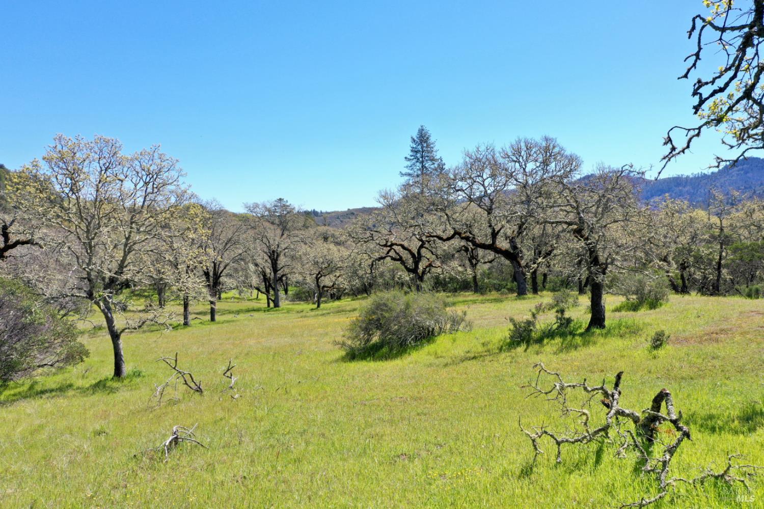 5175 Petrified Forest Rd