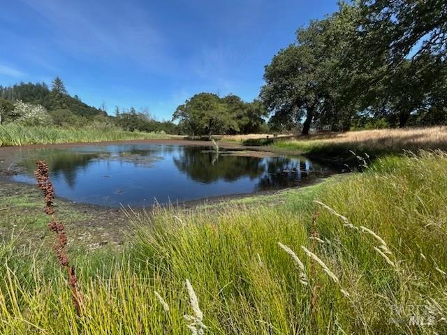 5175 Petrified Forest Rd