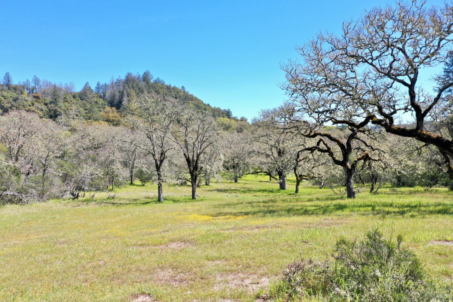 5175 Petrified Forest Rd