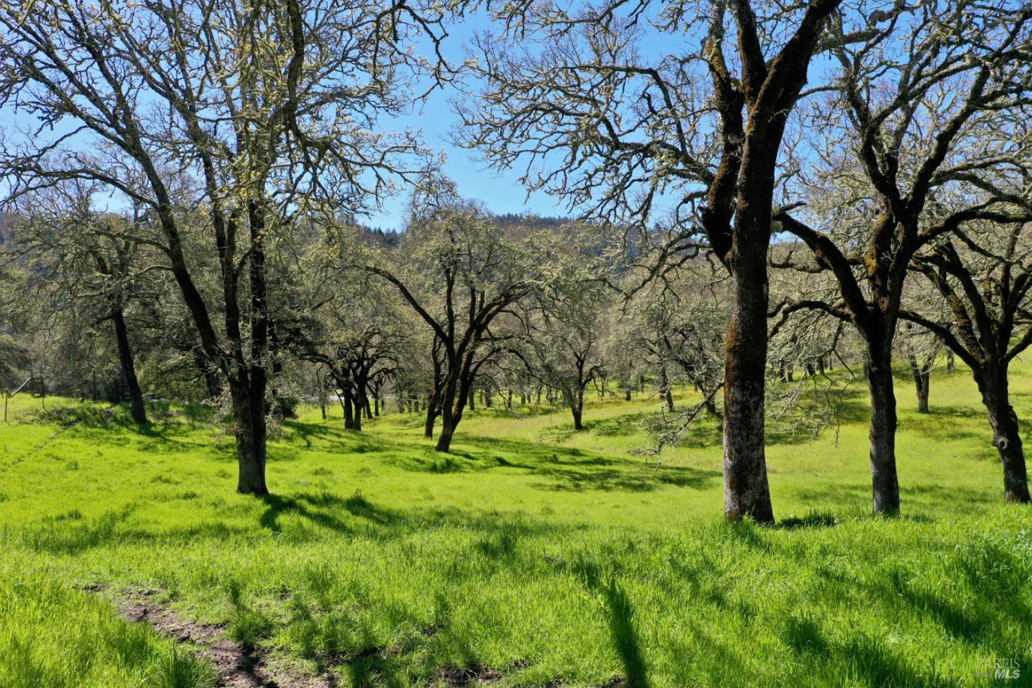 5175 Petrified Forest Rd