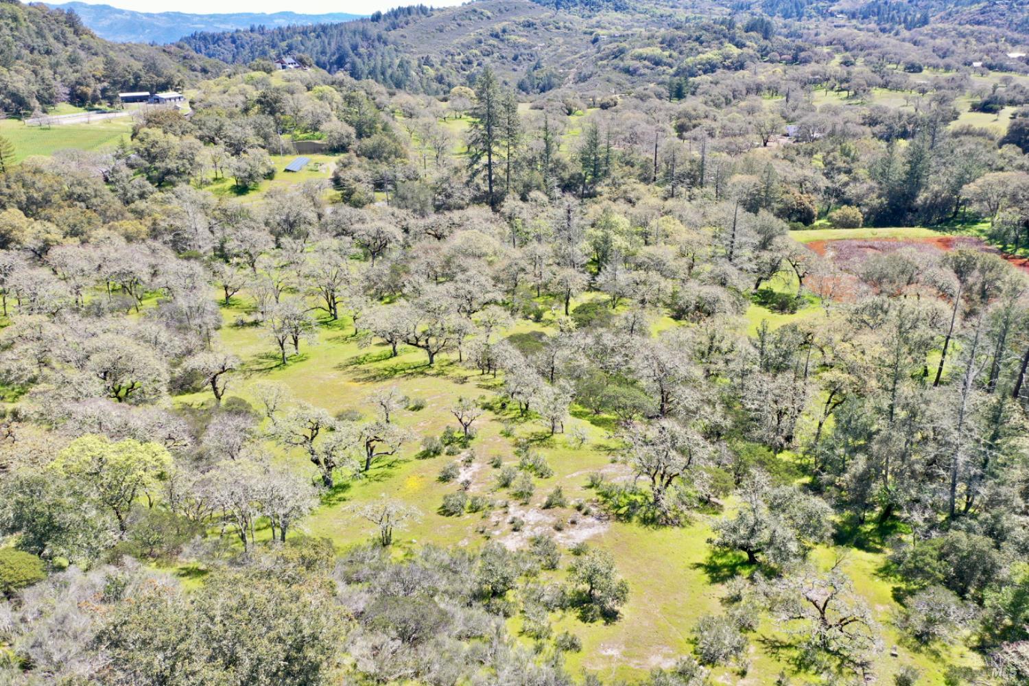 5175 Petrified Forest Rd