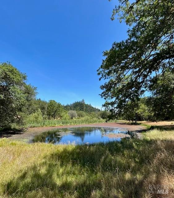 5175 Petrified Forest Rd