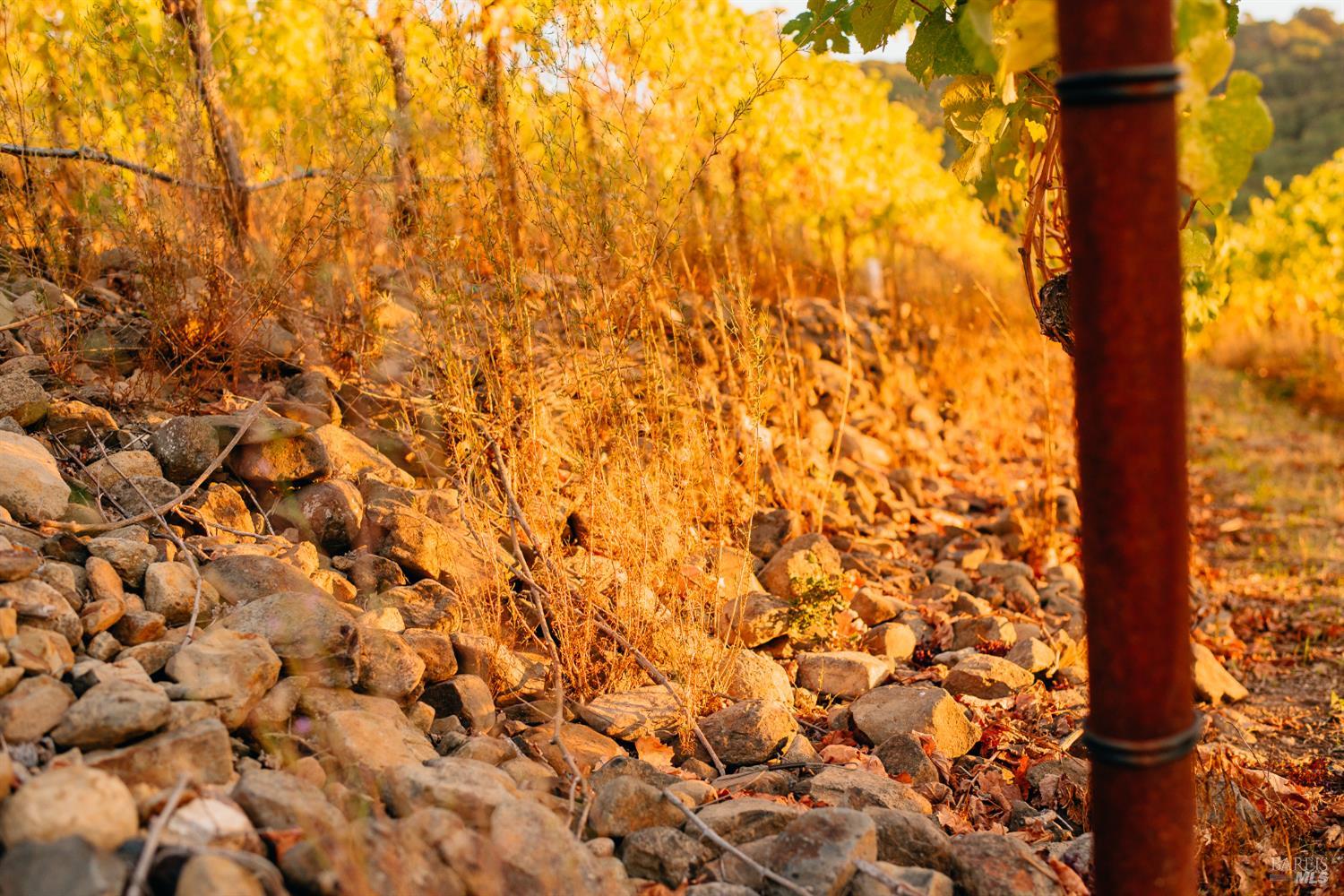 5561 Sonoma Mountain Rd