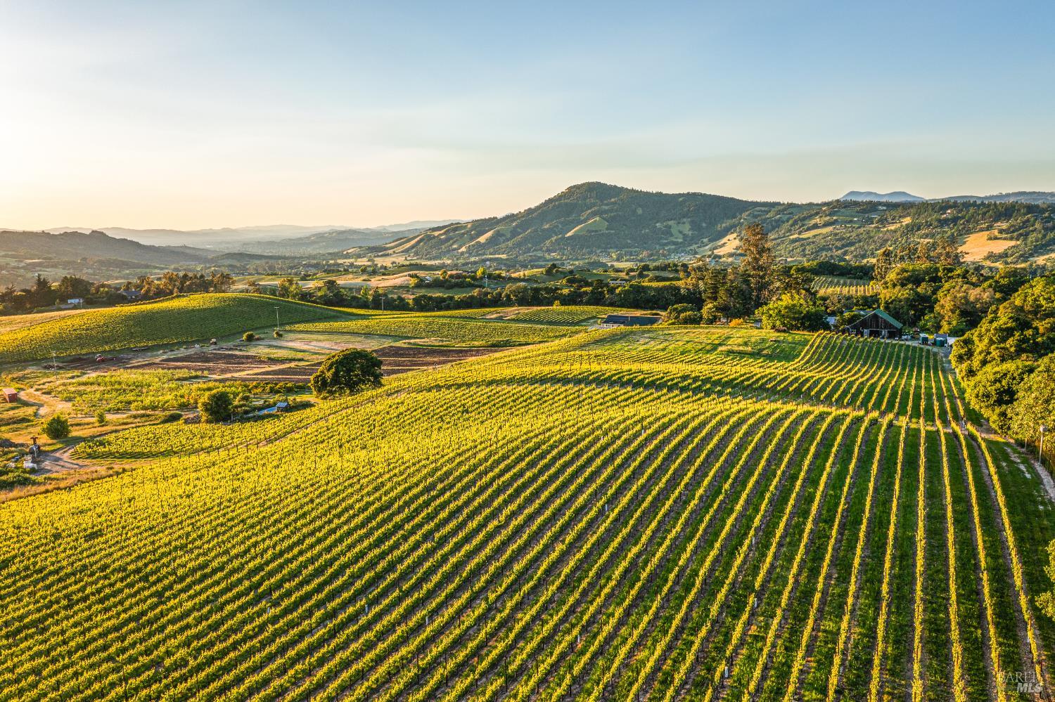 5561 Sonoma Mountain Rd