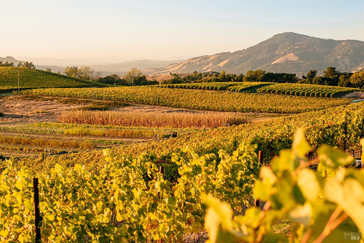 5561 Sonoma Mountain Rd