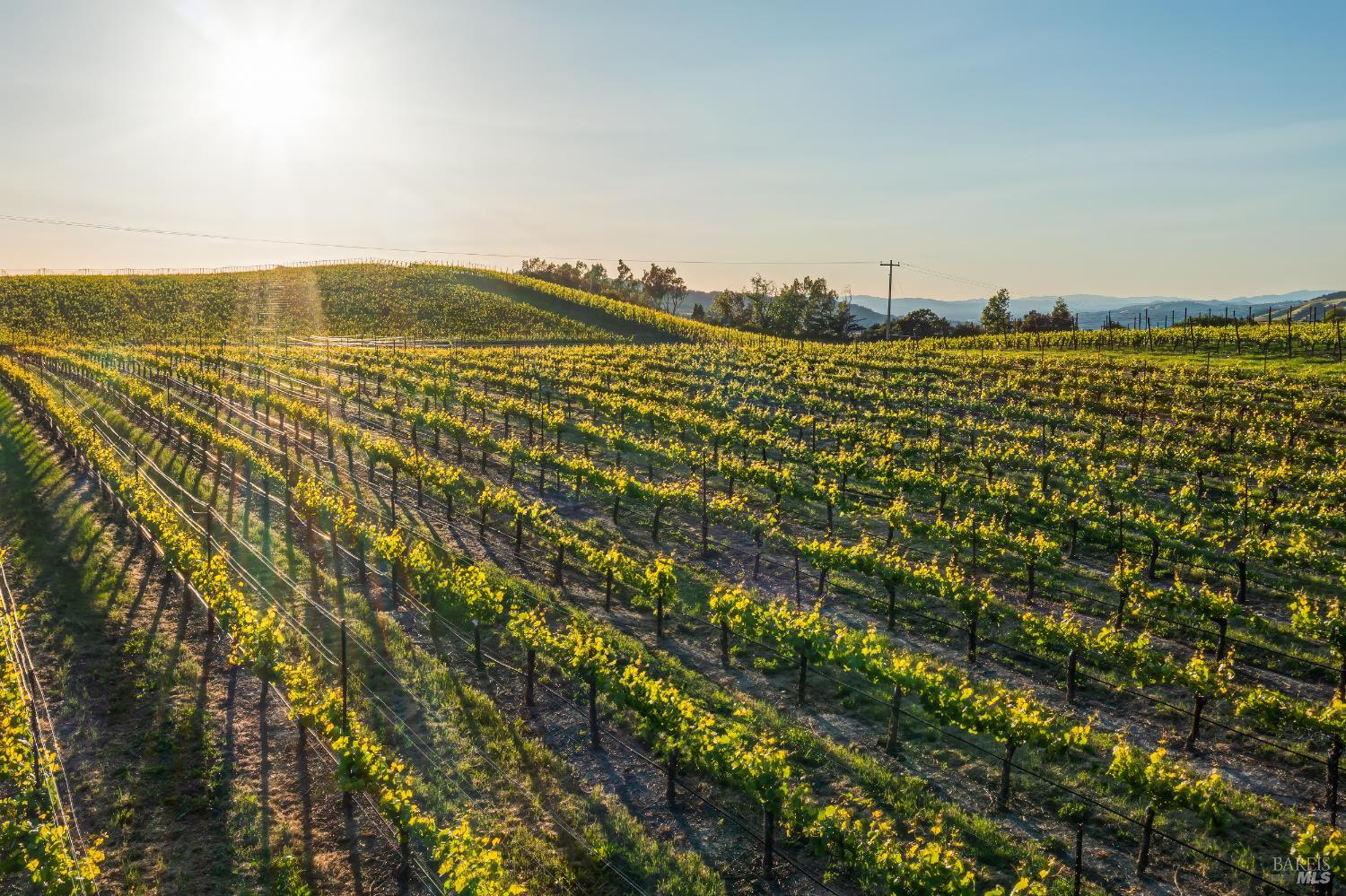 5561 Sonoma Mountain Rd