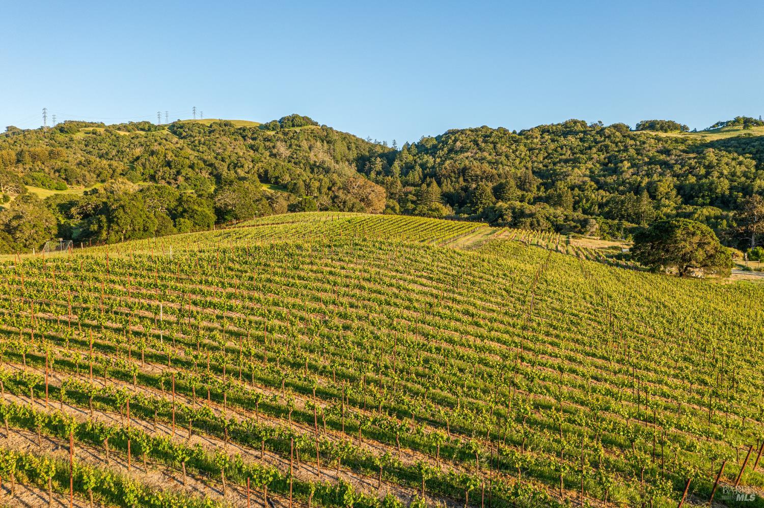 5561 Sonoma Mountain Rd