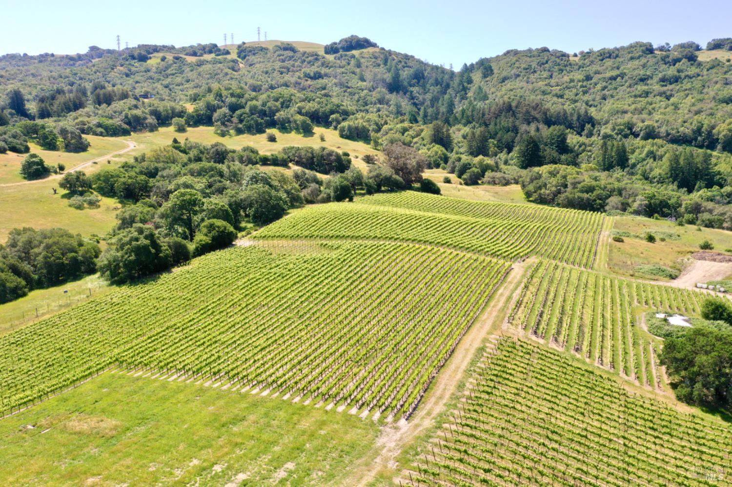 5561 Sonoma Mountain Rd