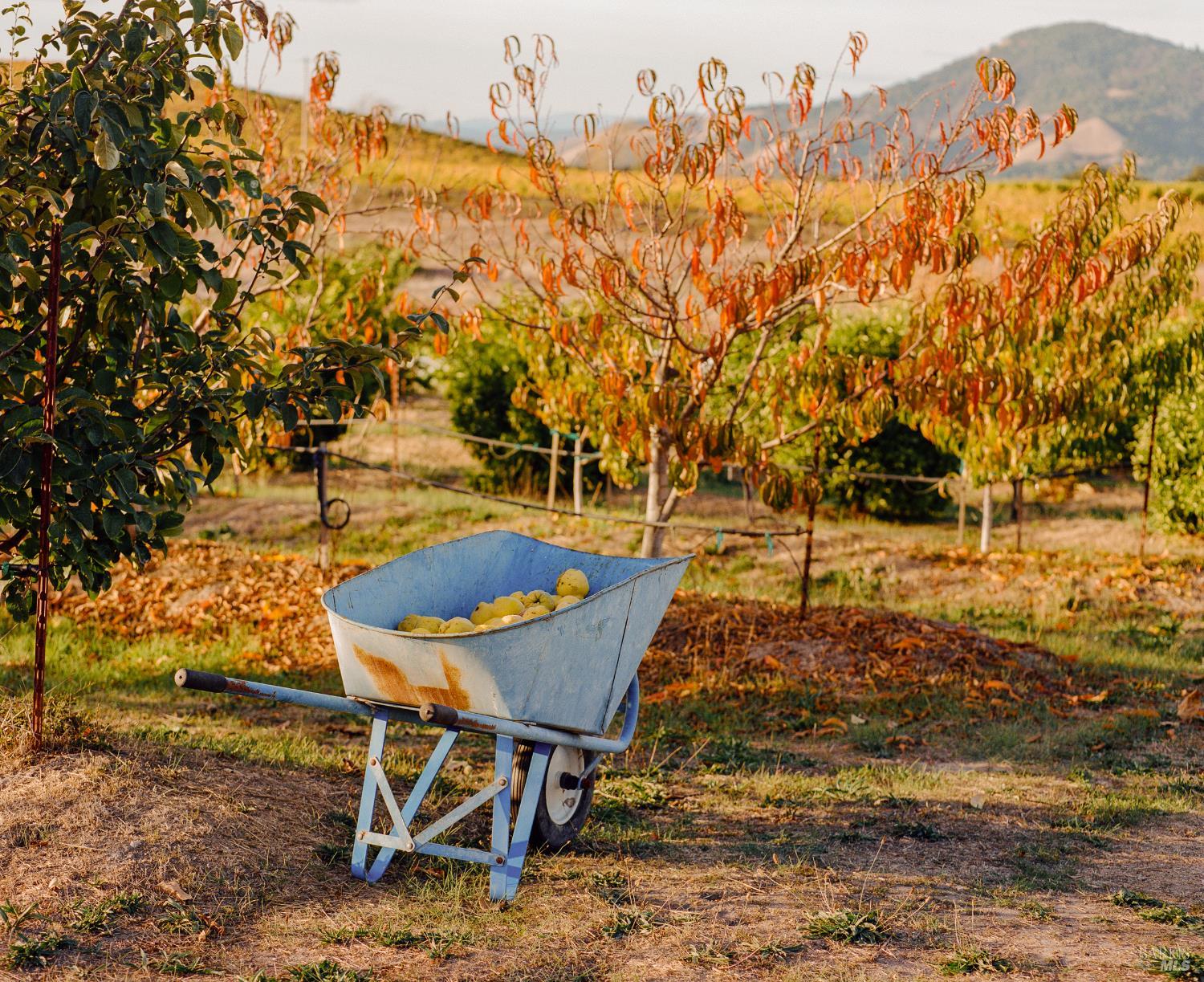 5561 Sonoma Mountain Rd