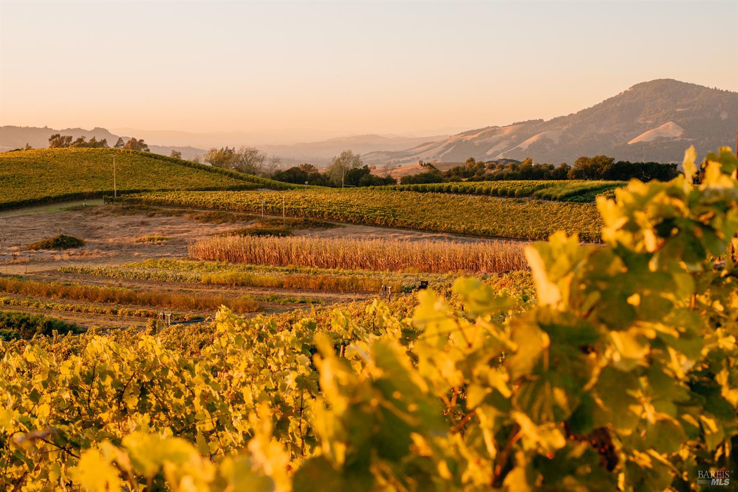 5561 Sonoma Mountain Rd