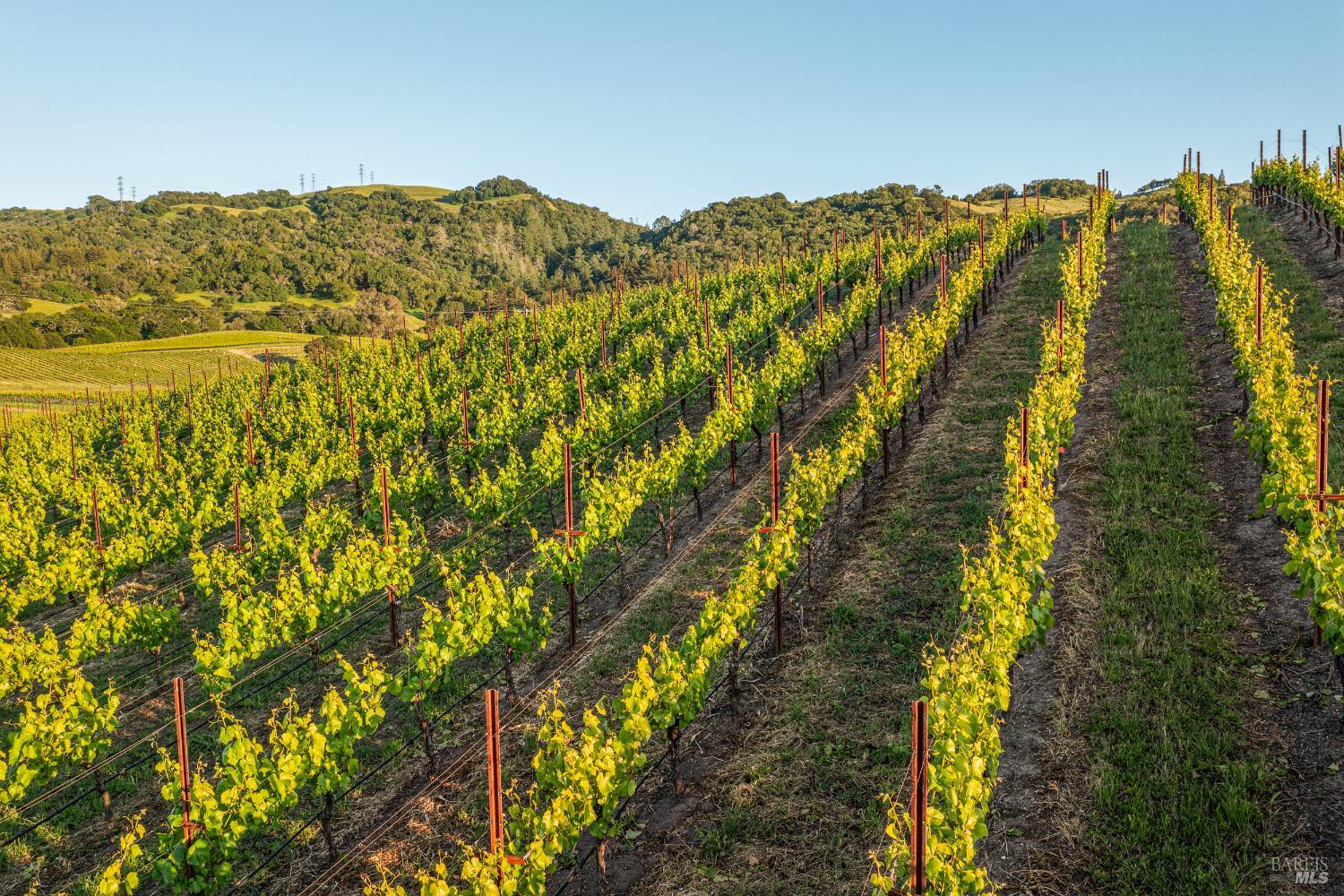 5561 Sonoma Mountain Rd