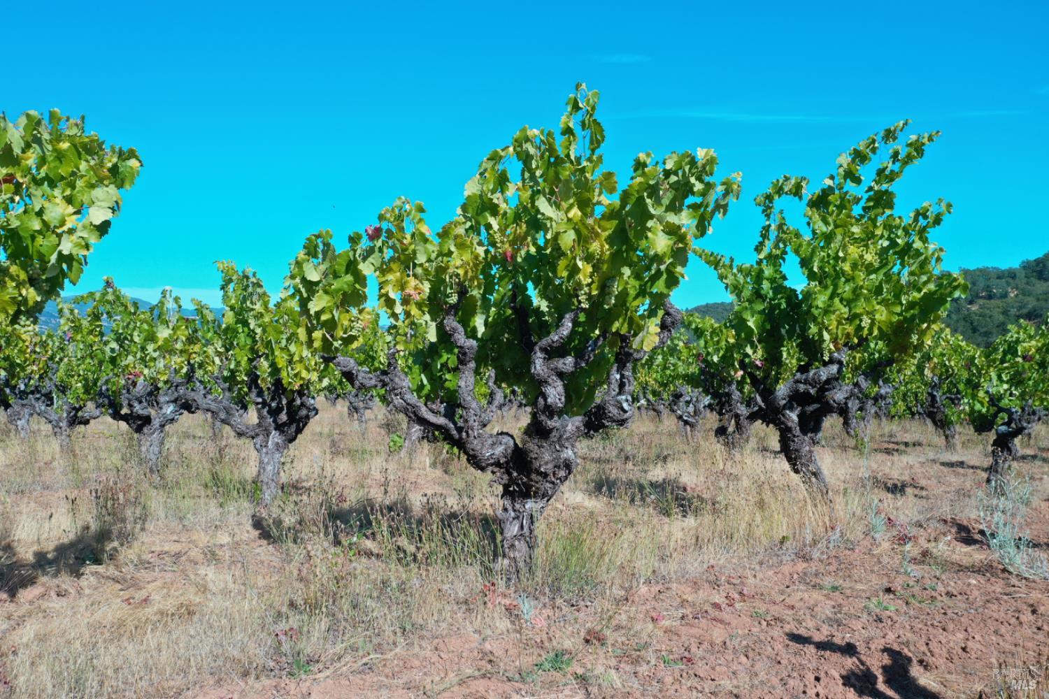 0 Dutcher Creek Road