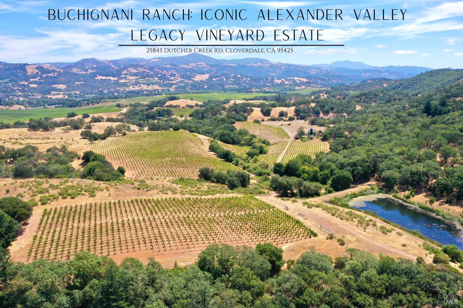 Aerial vineyard estate with rows of grapevines, wooded hills, distant mountains, and a pond.