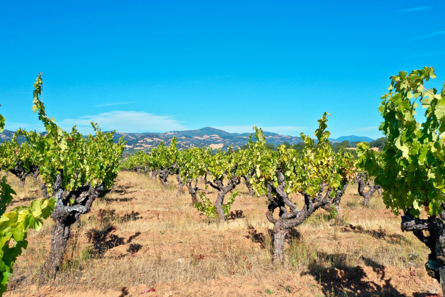 0 Dutcher Creek Road