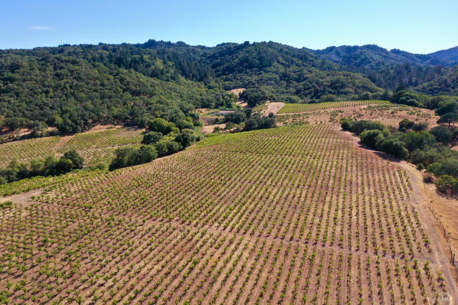 Aerial view of vineyard rows across rural land, backed by wooded hills.