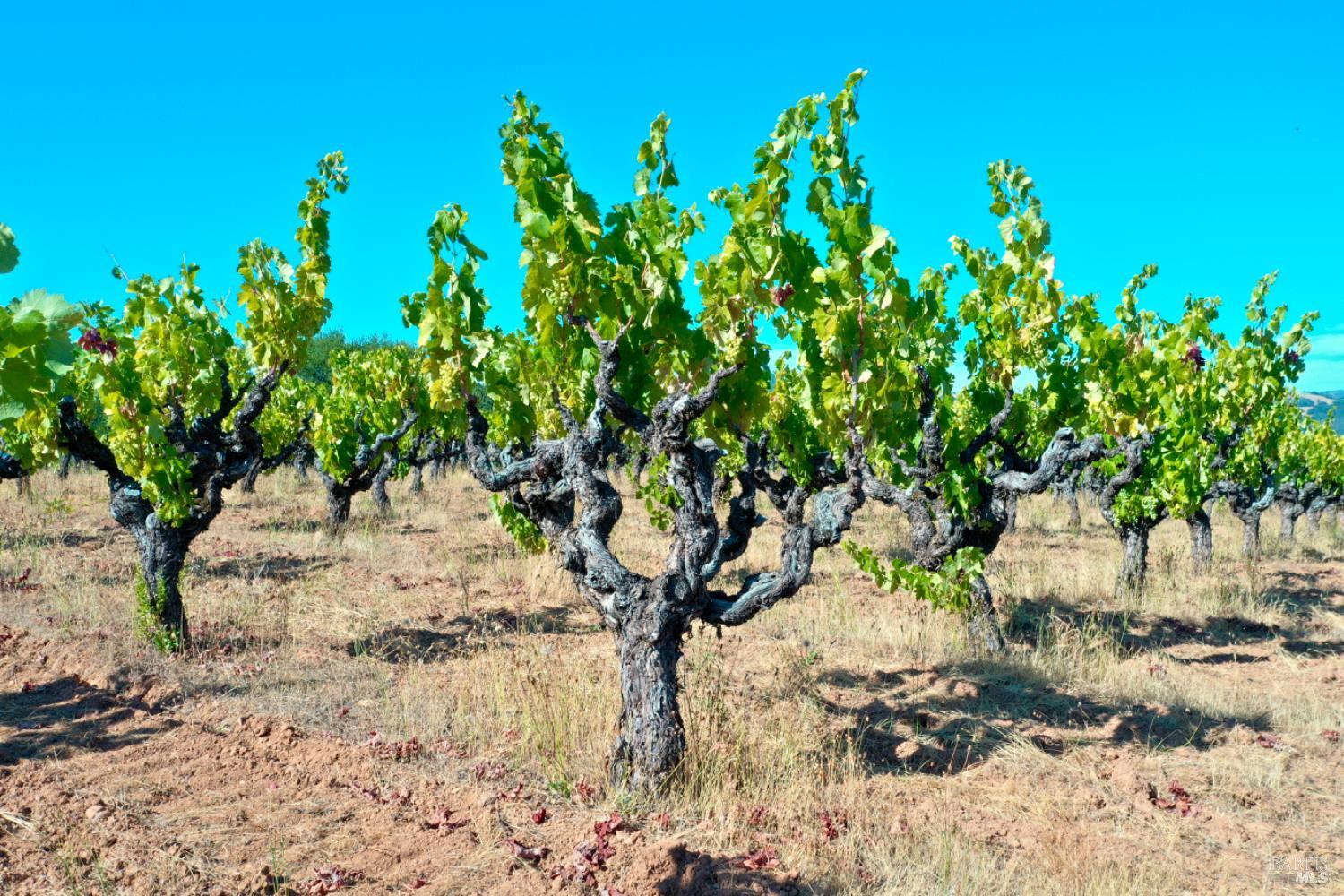 0 Dutcher Creek Road